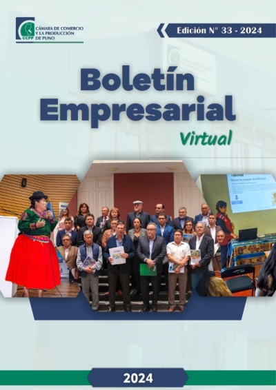 BOLETÍN SEMANAL N° 33-2024